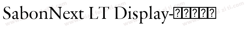 SabonNext LT Display字体转换